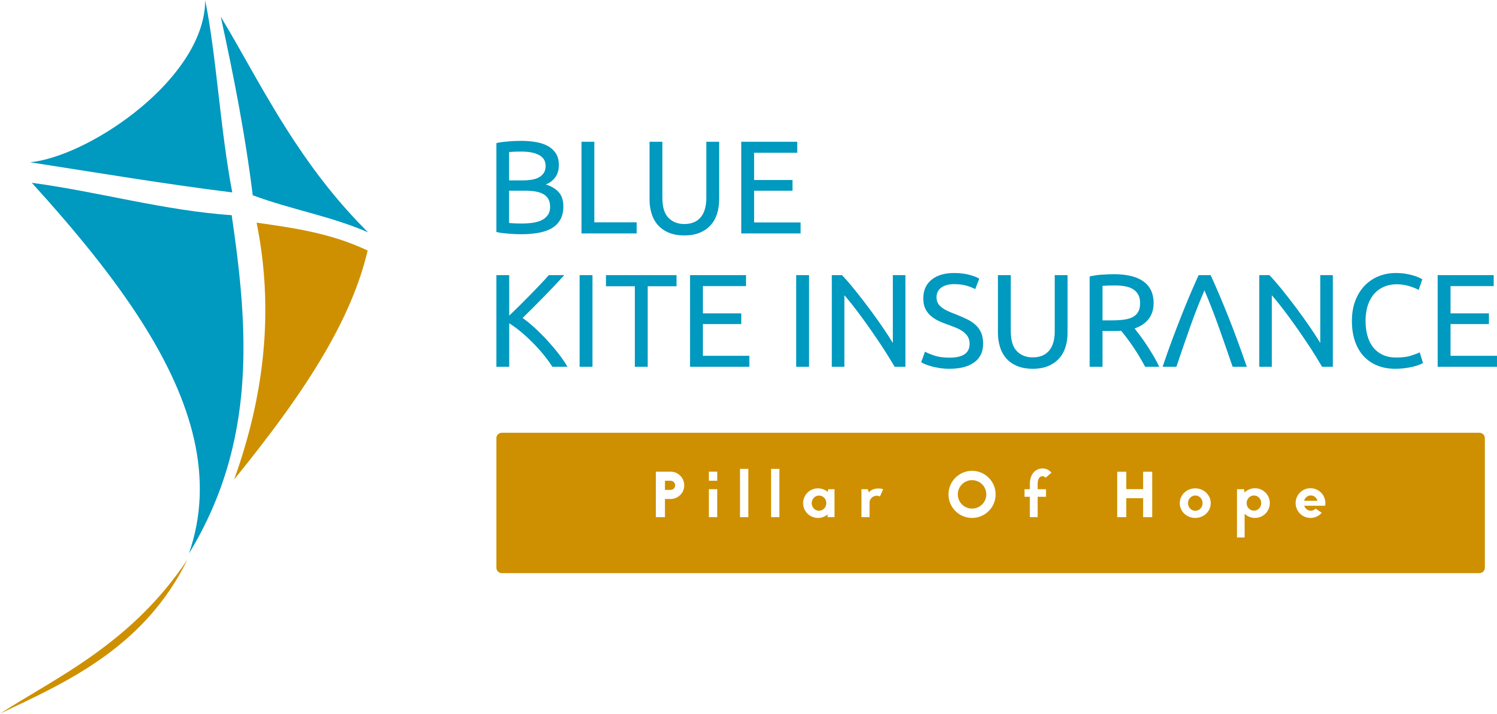 Blue Kite Insurance